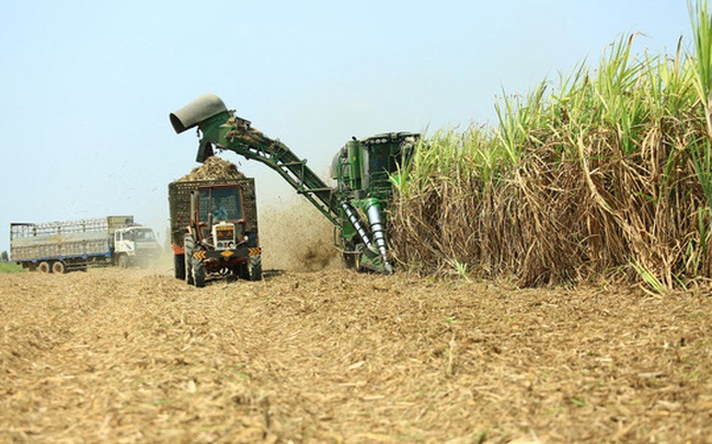 SSI Reseach: Áp thuế chống bán phá giá đã có kết quả với ngành đường, QNS, SLS hưởng lợi nhiều nhất với biên lợi nhuận tăng phi mã