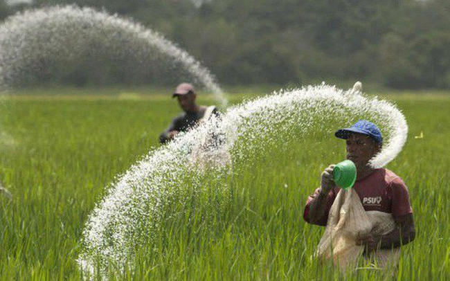 SSI Research: Lợi nhuận DPM, DCM dự báo còn tăng nhờ giá urea tăng, cổ phiếu có thể duy trì mức cao nhưng định giá không còn hấp dẫn