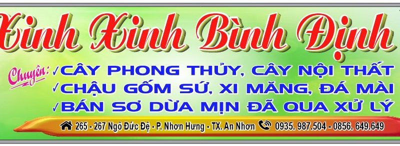 Anh Nguyễn Duy Tuyên Chuyên Kinh Doanh Buôn Bán Cây Nội Thất – Cây Phong Thuỷ – Mua Bán Môi Giới Nhà Đất Uy Tín Trách Nhiệm