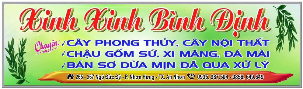 Anh Nguyễn Duy Tuyên Chuyên Kinh Doanh Buôn Bán Cây Nội Thất – Cây Phong Thuỷ – Mua Bán Môi Giới Nhà Đất Uy Tín Trách Nhiệm