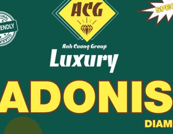 Anh Cường Adonis: Xây Dựng Uy Tín,Giá trị – Chất Lượng Tạo Niềm Tin Trong Lĩnh Vực Cung Cấp Gạch Đá và Gạch Trang Trí