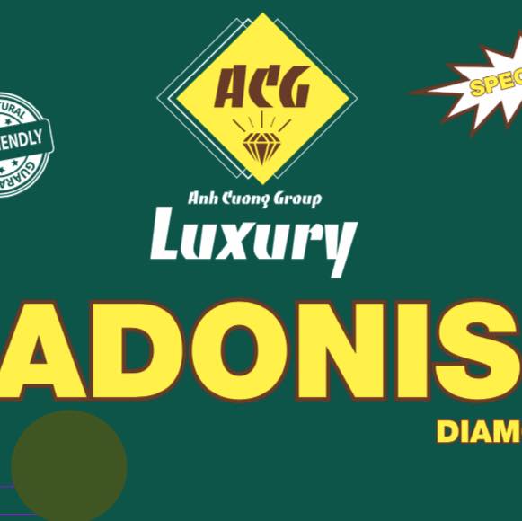 Anh Cường Adonis: Xây Dựng Uy Tín,Giá trị – Chất Lượng Tạo Niềm Tin Trong Lĩnh Vực Cung Cấp Gạch Đá và Gạch Trang Trí