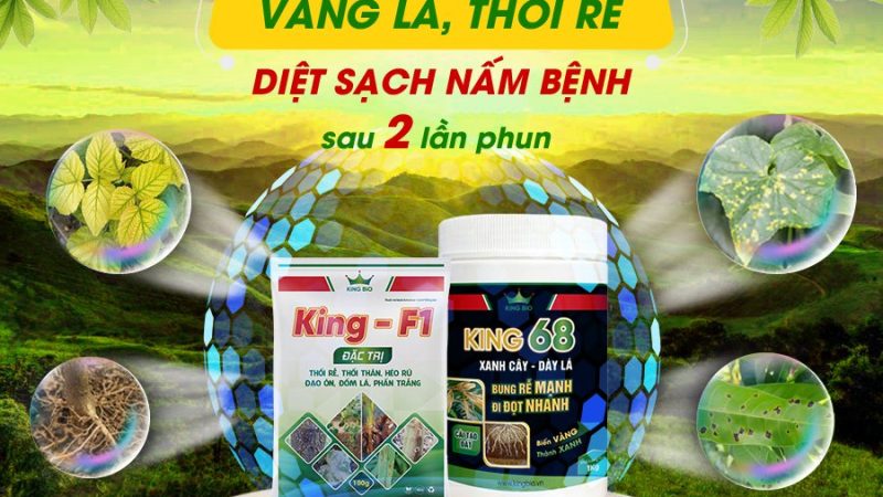 “Tập Đoàn KingBio World: Đối Tác Tin Cậy Cho Nền Nông Nghiệp Sinh Học Bền Vững”