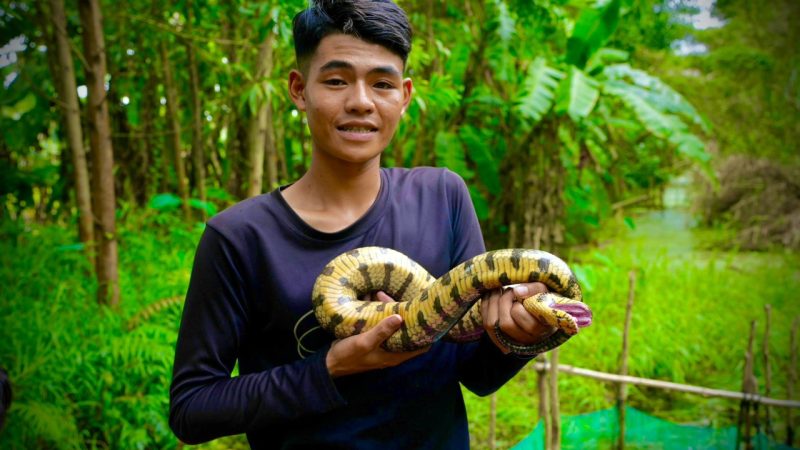 “Trịnh Trọng Tính: Hành Trình Sáng Tạo và Phát Triển Kinh Doanh Mật Ong và Kênh YouTube Săn Bắt Rừng U Minh”